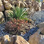 Bergmaier Daire *