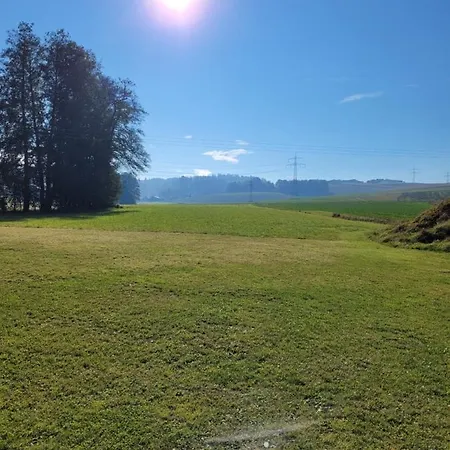 Bergmaier