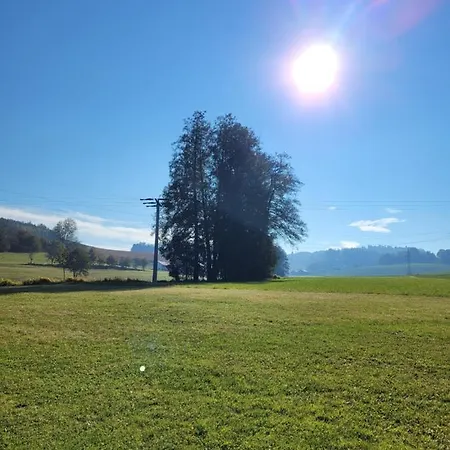 Bergmaier