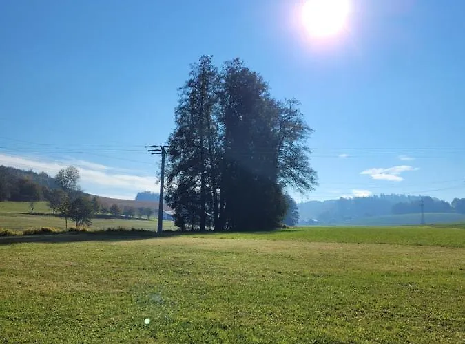 Bergmaier