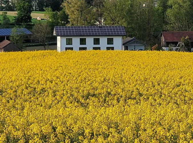 Bergmaier Bad Birnbach